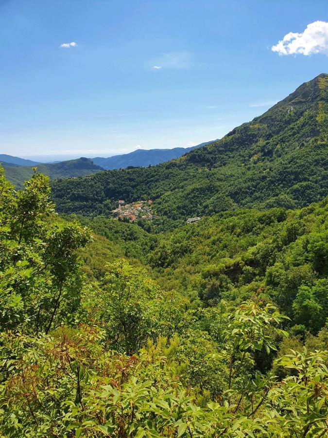 Il Bosco Di Campo Marzano Garden Apartments Borzonasca Kültér fotó