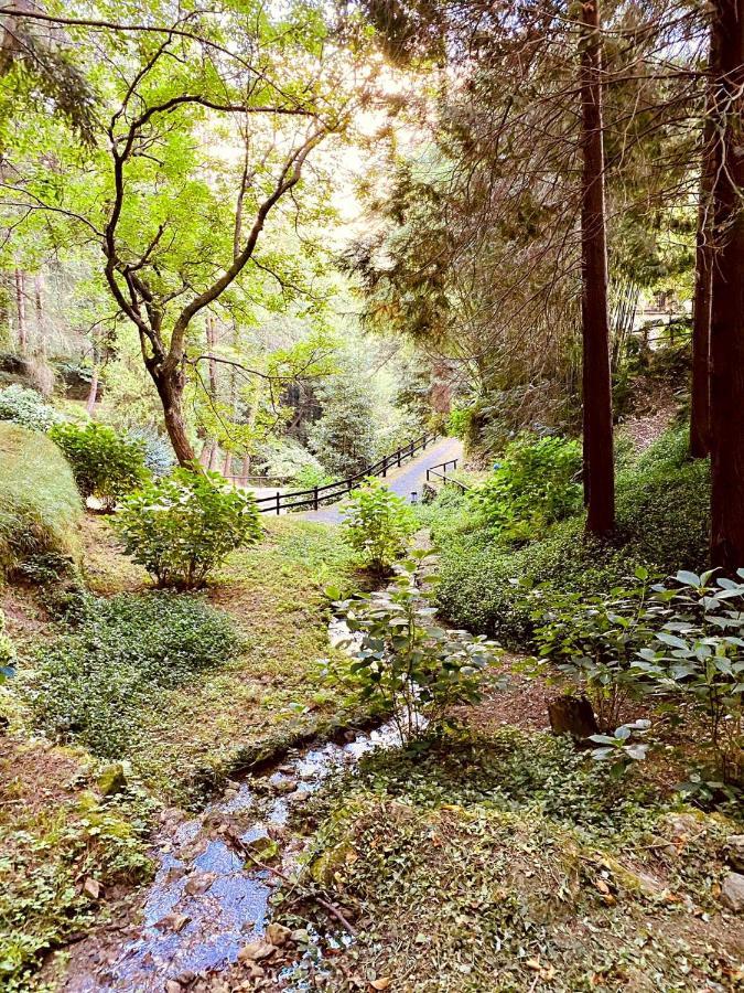 Il Bosco Di Campo Marzano Garden Apartments Borzonasca Kültér fotó