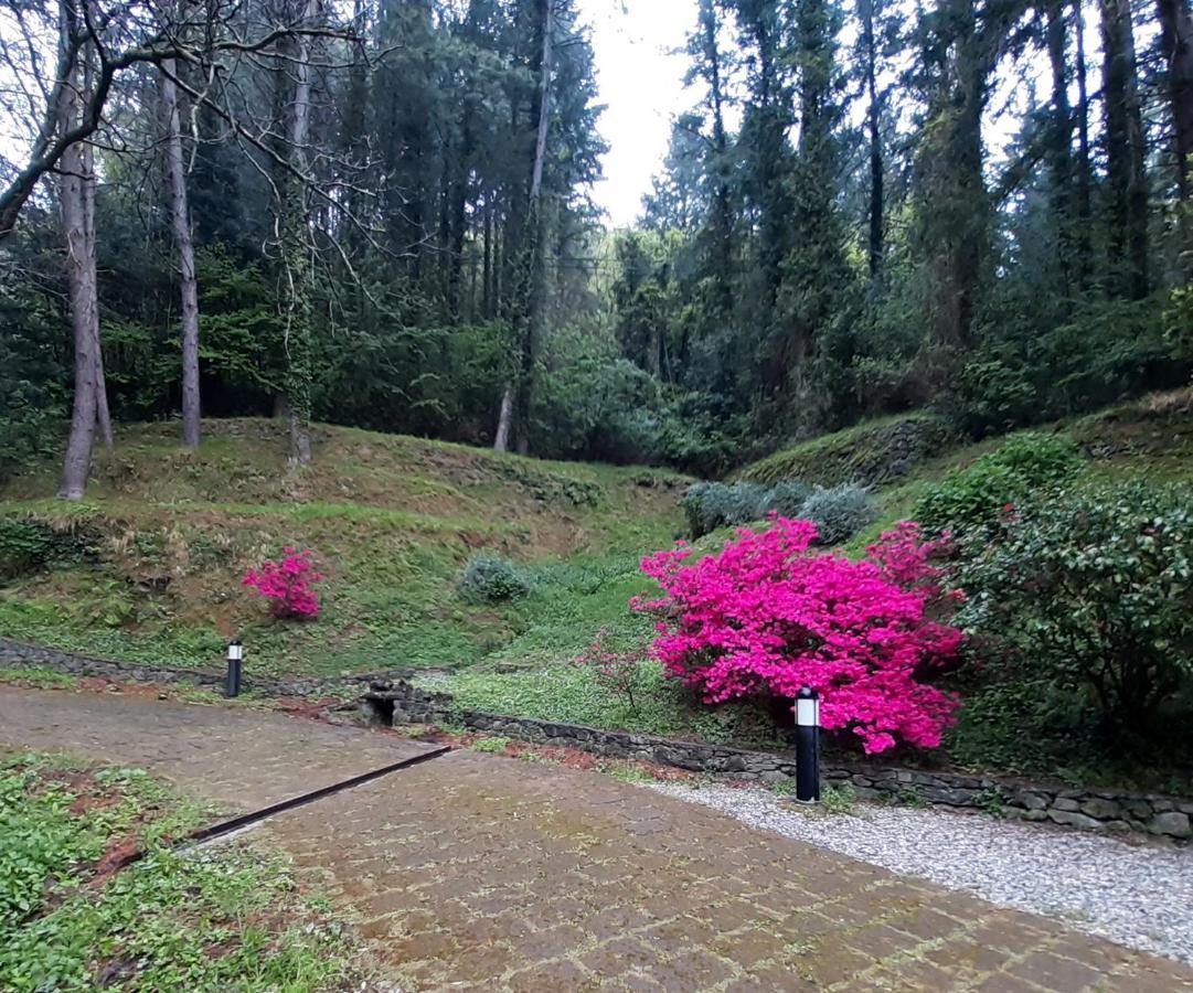 Il Bosco Di Campo Marzano Garden Apartments Borzonasca Kültér fotó
