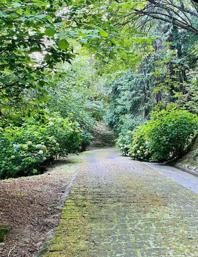 Il Bosco Di Campo Marzano Garden Apartments Borzonasca Kültér fotó