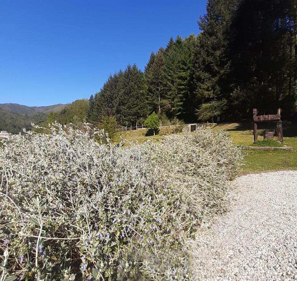 Il Bosco Di Campo Marzano Garden Apartments Borzonasca Kültér fotó